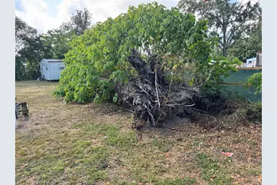 3402 Pearson Road, Valrico, FL 33596 - Photo 24