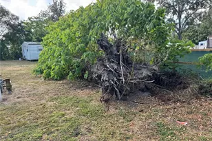 3402 Pearson Rd, Valrico, FL 33596 - Photo 24