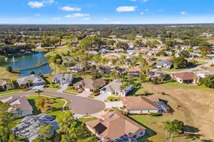 18715 Dove Hollow Ct, Hudson, FL 34667 - Photo 48