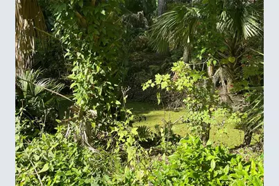 3785 Cr 405N, Lake Panasoffkee, FL 33538 - Photo 4
