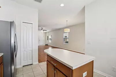 10545 Shady Falls Court, Riverview, FL 33578 - Photo 6
