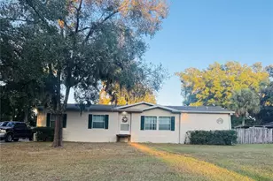 10603 Skewlee Gardens Dr, Thonotosassa, FL 33592 - Photo 2