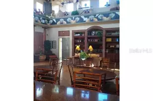 20031 Date Palm Way, Tampa, FL 33647 - Photo 14