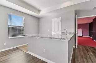 11748 Albatross Ln, Riverview, FL 33569 - Photo 70