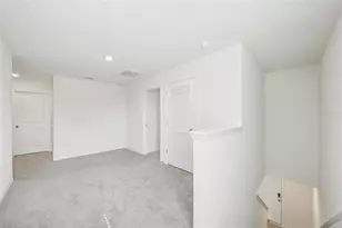 11637 Saw Palmetto Ln, Riverview, FL 33569 - Photo 32