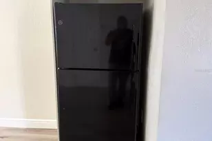 725 21st Ave S, Saint Petersburg, FL 33705 - Photo 4