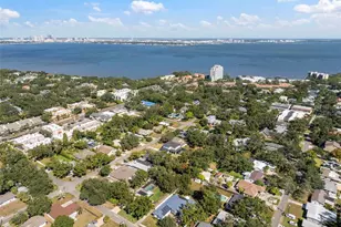 2908 W Marlin Ave, Tampa, FL 33611 - Photo 8