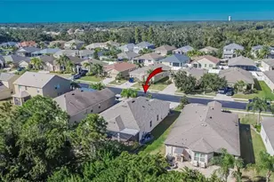 9023 41st St E, Parrish, FL 34219 - Photo 68