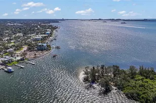 115 Buena Vista Dr S, Dunedin, FL 34698 - Photo 78