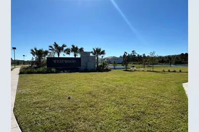 17481 Spanish Oak Loop, Land O Lakes, FL 34638 - Photo 56