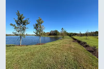 17481 Spanish Oak Loop, Land O Lakes, FL 34638 - Photo 38