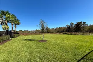 17481 Spanish Oak Loop, Land O Lakes, FL 34638 - Photo 44