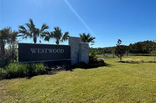 17481 Spanish Oak Loop, Land O Lakes, FL 34638 - Photo 54