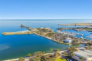 105 4th Ave NE, Saint Petersburg, FL 33701 - Photo 44