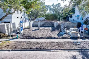 2926 W Alline Ave, Tampa, FL 33611 - Photo 2