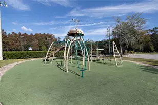 3399 Mermoor Dr, Palm Harbor, FL 34685 - Photo 48