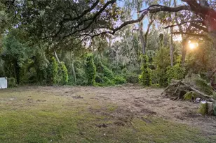 4905 Nesmith Rd, Plant City, FL 33567 - Photo 4