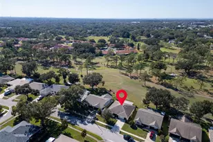 1222 Gillespie Dr, Palm Harbor, FL 34684 - Photo 34
