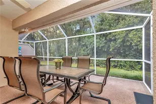 3825 Darston St, Palm Harbor, FL 34685 - Photo 28