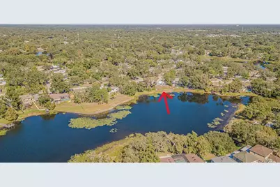 12510 Forest Hills Drive, Tampa, FL 33612 - Photo 56