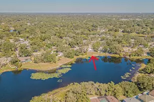12510 Forest Hills Dr, Tampa, FL 33612 - Photo 56
