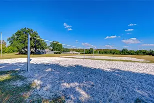 19414 Morden Blush Dr, Lutz, FL 33558 - Photo 40