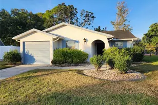 1206 Sawgrass Ct, Oldsmar, FL 34677 - Photo 1