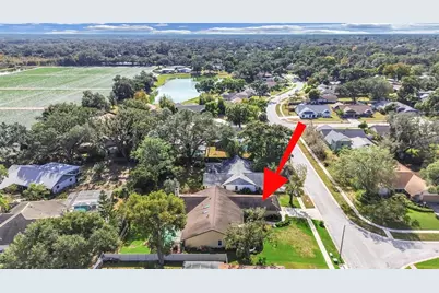 305 Running Horse Road, Seffner, FL 33584 - Photo 6