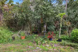 5320 Riverwalk Preserve Dr, New Port Richey, FL 34653 - Photo 50