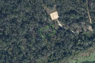 9424 Elder Berry Ct, Sebring, FL 33875 - Photo 1
