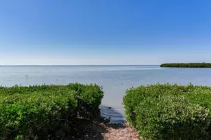 502 S Florida Ave, Tarpon Springs, FL 34689 - Photo 62