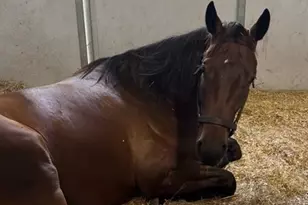 14192 Ermine Owl Rd, Brooksville, FL 34614 - Photo 6