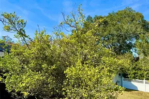 19814 Moorgate St, Orlando, FL 32833 - Photo 18