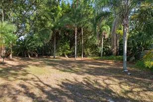 12030 Steppingstone Blvd, Tampa, FL 33635 - Photo 4