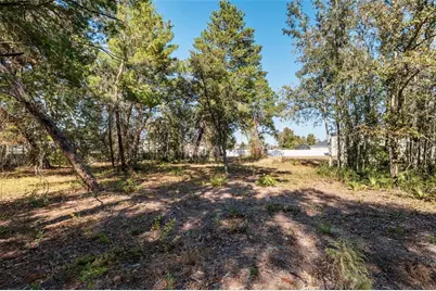 11684 SW 56th Terrace, Ocala, FL 34476 - Photo 148