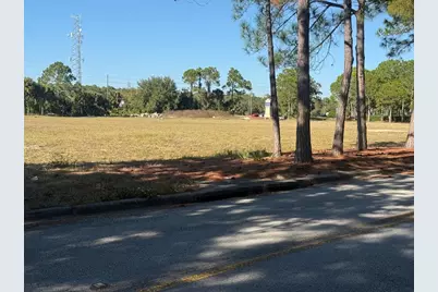 0 Forest Road, Spring Hill, FL 34606 - Photo 4