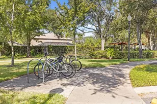 10641 Firebrick Ct, Trinity, FL 34655 - Photo 36