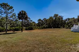 2918 Timberlee Rd, Wimauma, FL 33598 - Photo 50