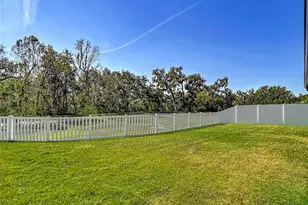 39946 Dawson Chase Dr, Zephyrhills, FL 33540 - Photo 4