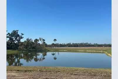 10168 Hidden Hammock Loop, Parrish, FL 34219 - Photo 34