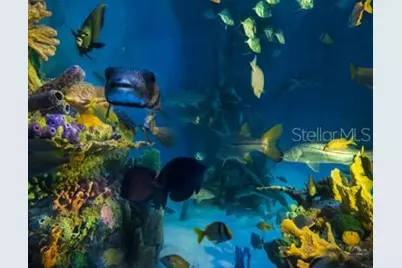 5500 Gulf Boulevard #7240, Saint Pete Beach, FL 33706 - Photo 12