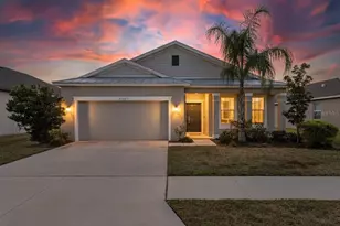 11937 Bahia Valley Dr, Riverview, FL 33579 - Photo 1