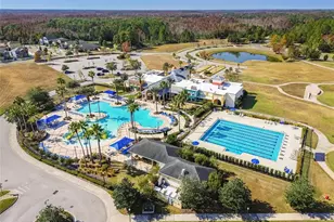 21143 Passive Porch Dr, Land O Lakes, FL 34637 - Photo 34