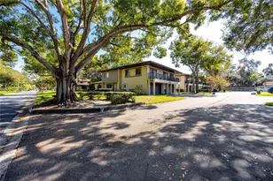 2909 Lichen Ln, Clearwater, FL 33760 - Photo 42