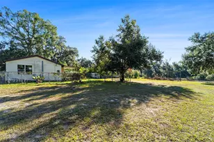 2215 Wallace Rd, Lutz, FL 33549 - Photo 4