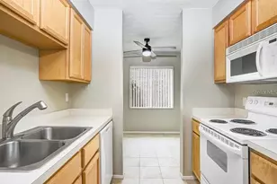 7506 Presley Pl, Tampa, FL 33617 - Photo 10