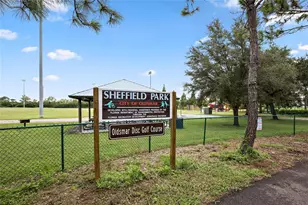 311 Vista Cruiser Ln, Oldsmar, FL 34677 - Photo 48