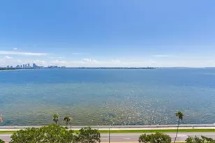 3507 Bayshore Blvd, Tampa, FL 33629 - Photo 50