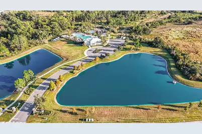 33548 Elm Hill Branch, Wesley Chapel, FL 33545 - Photo 38