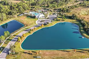 33548 Elm Hl Br, Wesley Chapel, FL 33545 - Photo 38